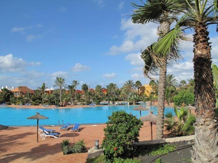 Oasis Tamarindo By Best Holidays Fuerteventura Corralejo Eksteriør bilde