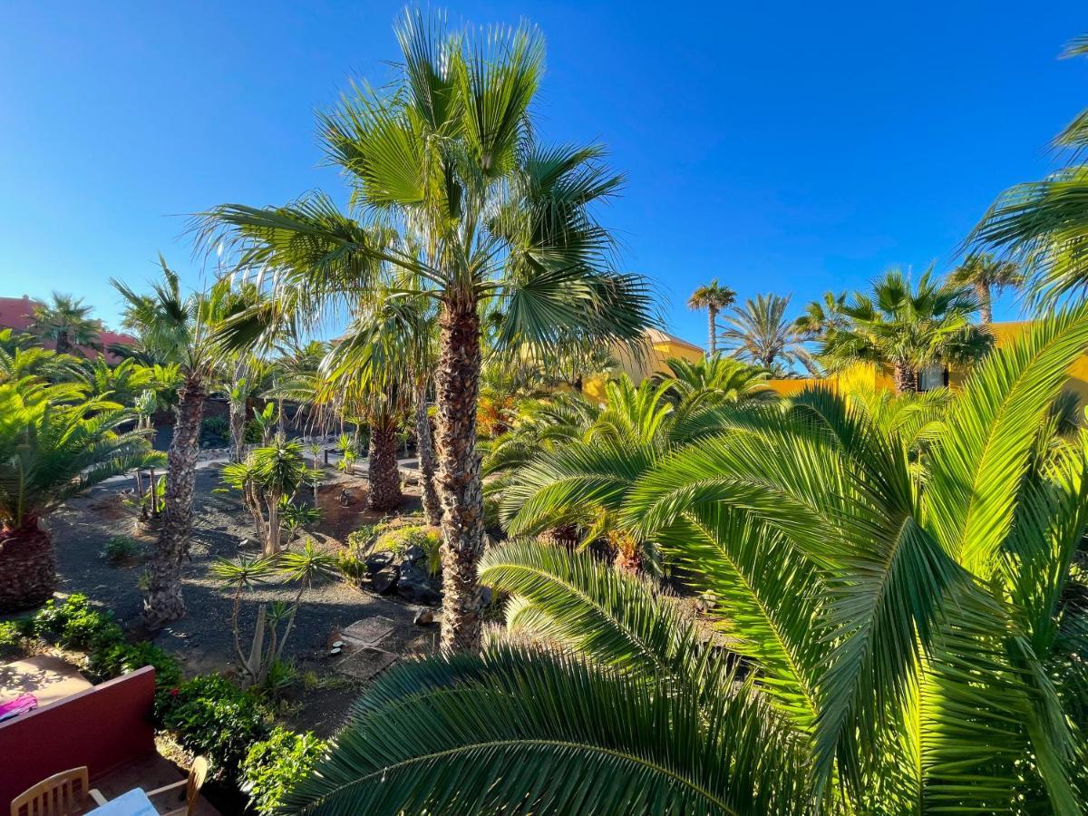 Oasis Tamarindo By Best Holidays Fuerteventura Corralejo Eksteriør bilde