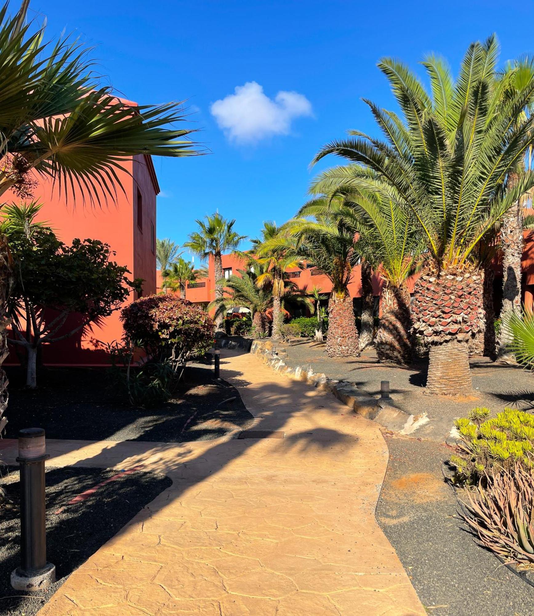 Oasis Tamarindo By Best Holidays Fuerteventura Corralejo Eksteriør bilde