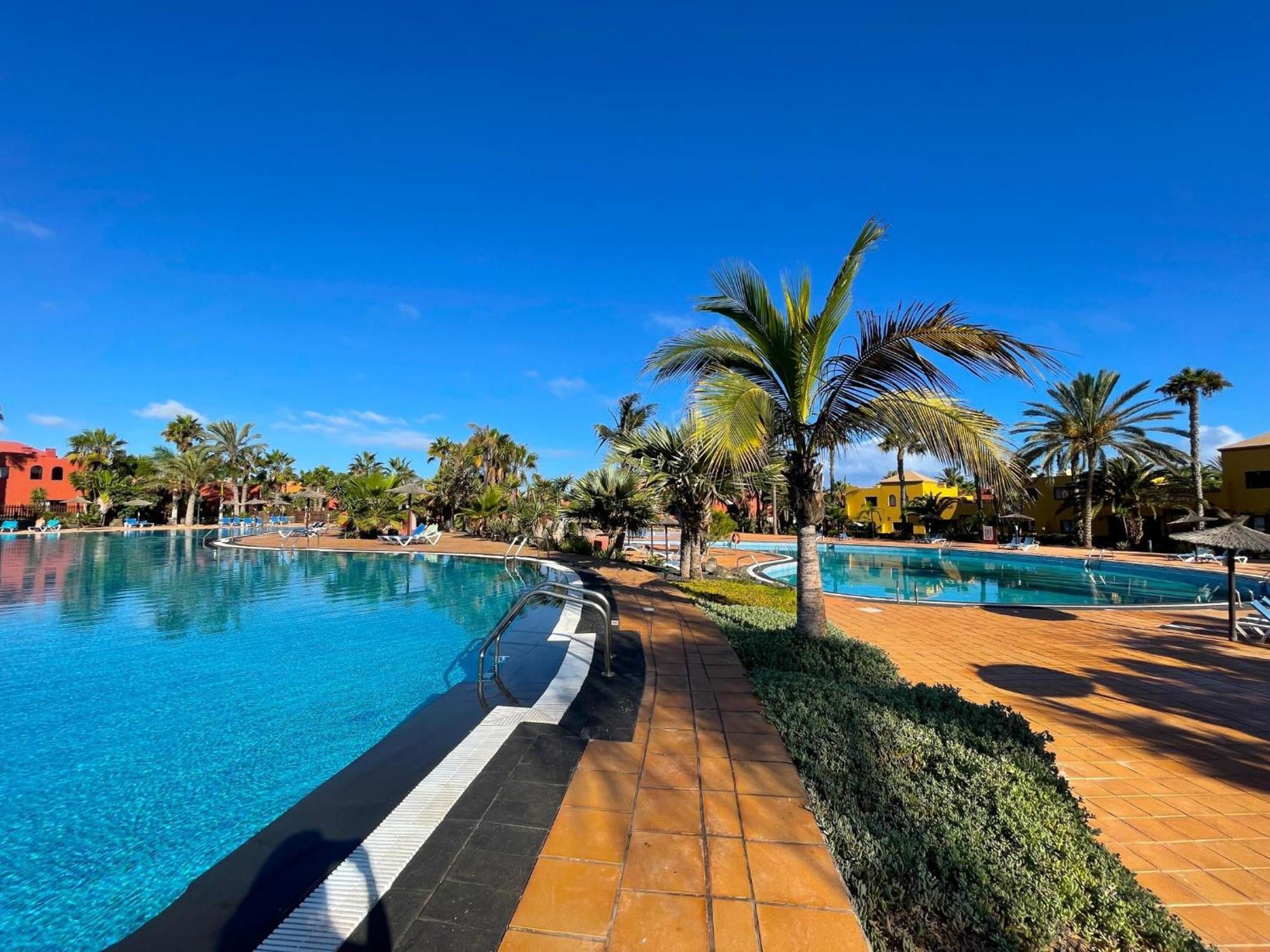 Oasis Tamarindo By Best Holidays Fuerteventura Corralejo Rom bilde