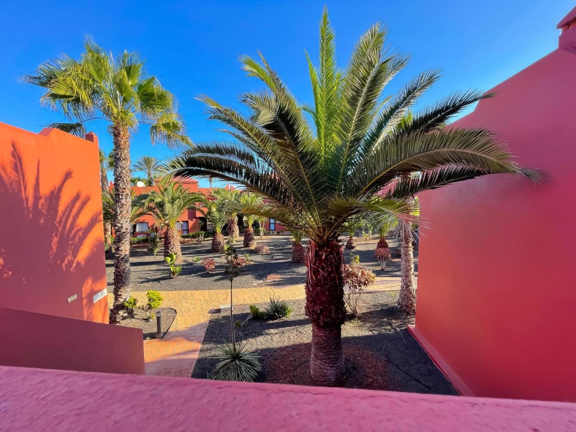 Oasis Tamarindo By Best Holidays Fuerteventura Corralejo Rom bilde